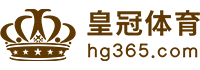 Logo 九鼎体育
